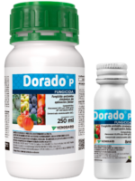 Dorado_P_1L_8Ml