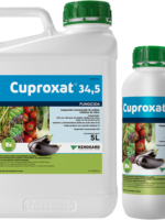 Cuproxat_34,5_5L_1L1000