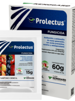 Prolectus_60g1000