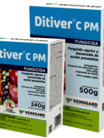 DitiverCPM_240G_500G_co