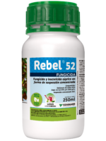 Rebel_52_250ml