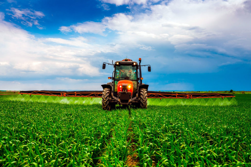 La sanidad vegetal y su apoyo esencial a la agricultura para combatir el cambio climático