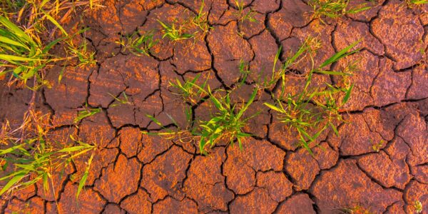 Cracked earth, metaphoric for climate change and global warming