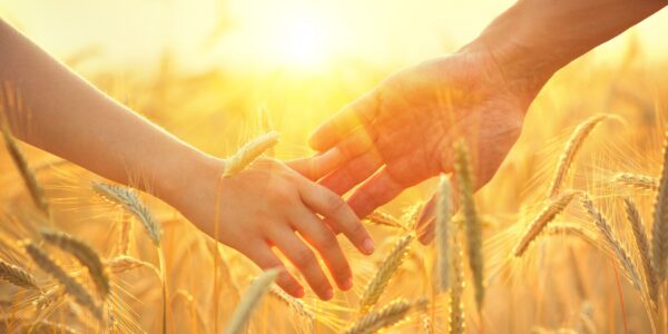 Couple taking hands and walking on golden wheat field over beaut