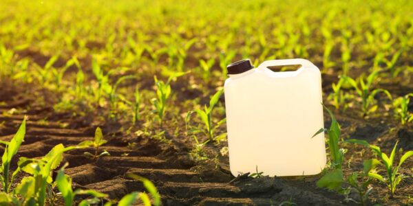 Blank white herbicide canister can in corn seedling field in spr